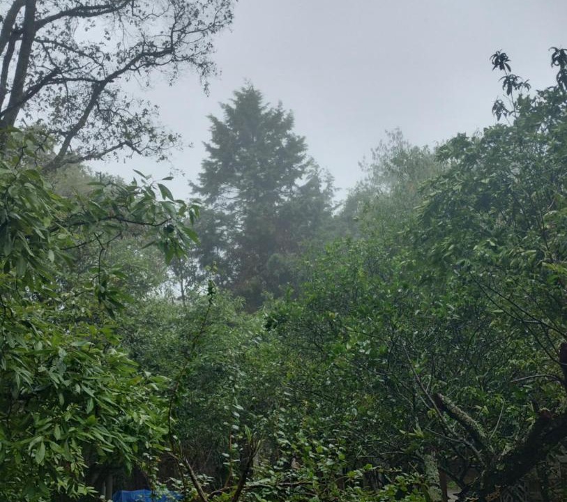 Photo of Others in Tepoztlan