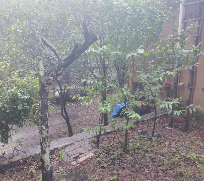 Photo of Outdoor in Tepoztlan