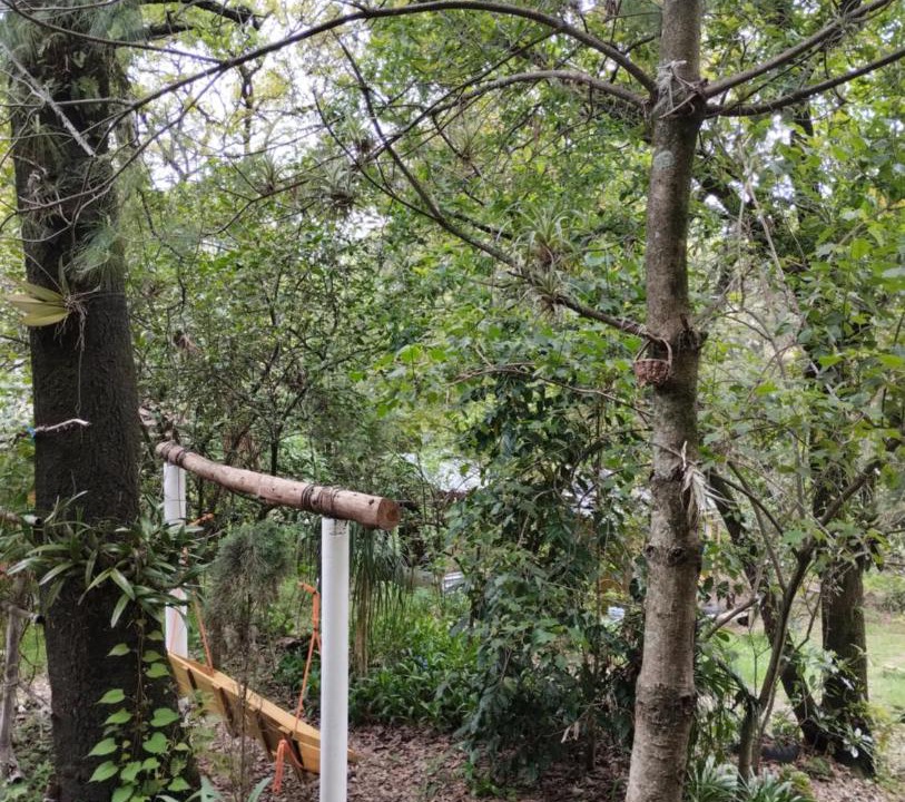 Photo of Outdoor in Tepoztlan