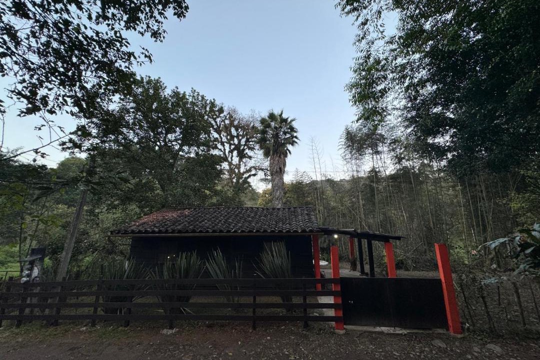 Photo of Others in Rincon Coatepec