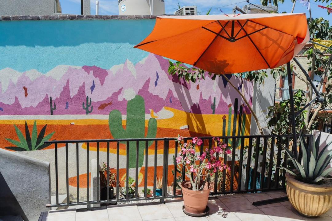 Photo of Others in Downtown San Jose del Cabo
