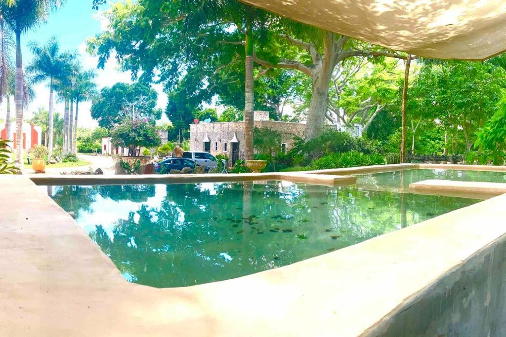 Photo of Outdoor in Chichen Itza - Valladolid