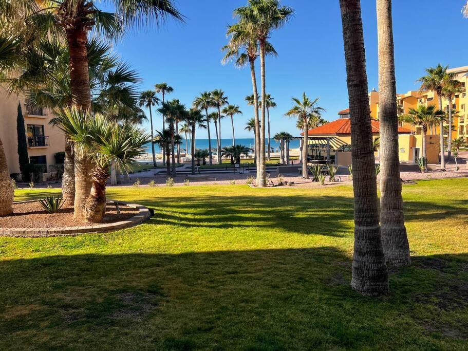 Photo of Others in Puerto Penasco