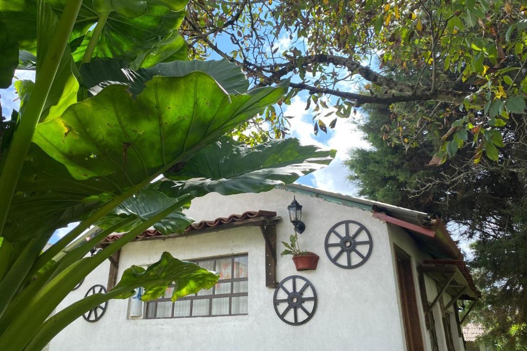 Photo of Others in Tlatlauquitepec