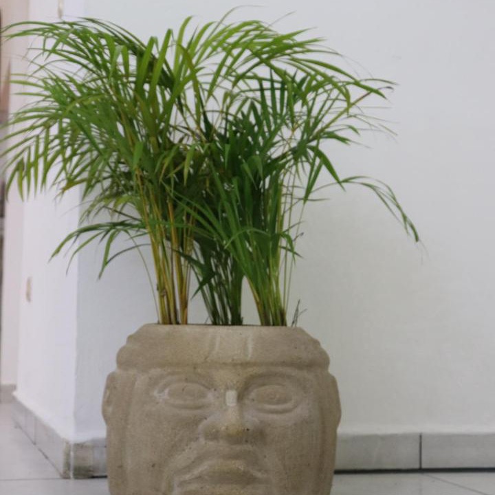 Photo of Others in Palenque