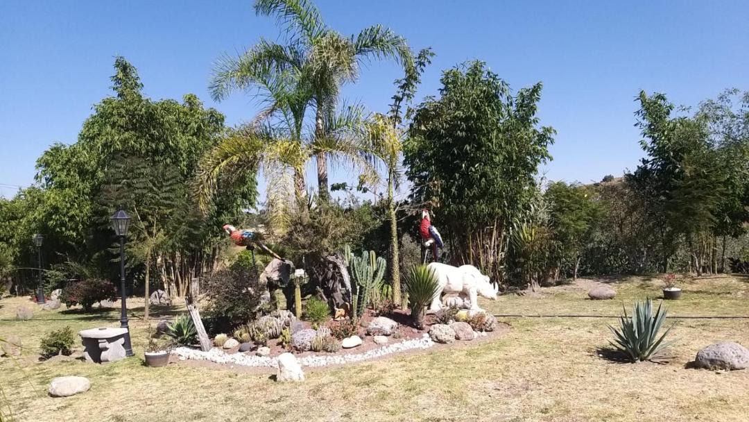 Photo of Others in Puebla