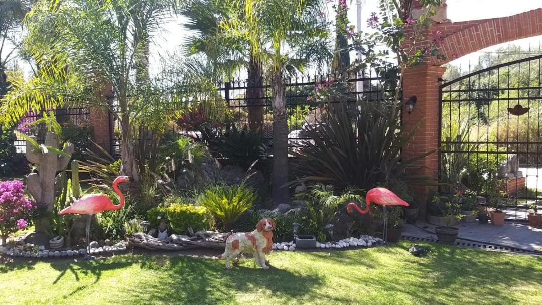 Photo of Others in Puebla