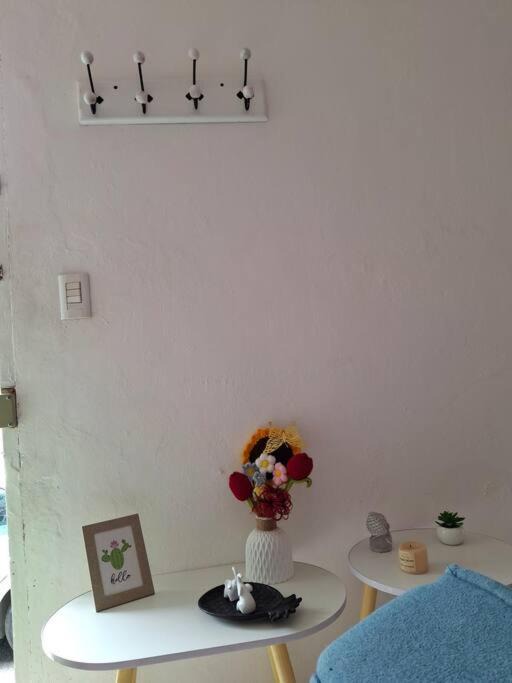 Photo of Others in Veracruz