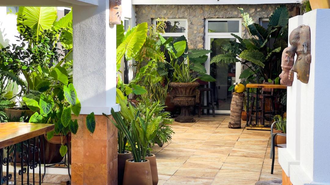 Photo of Patio Balcony in Sin Nombre Loc. San Blas