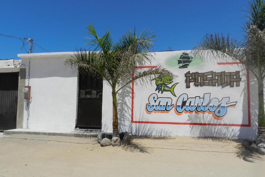 Photo of Others in Puerto San Carlos