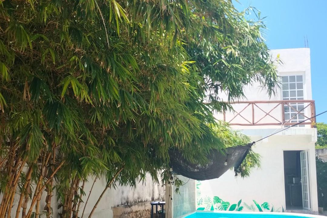 Photo of Others in Progreso Municipality