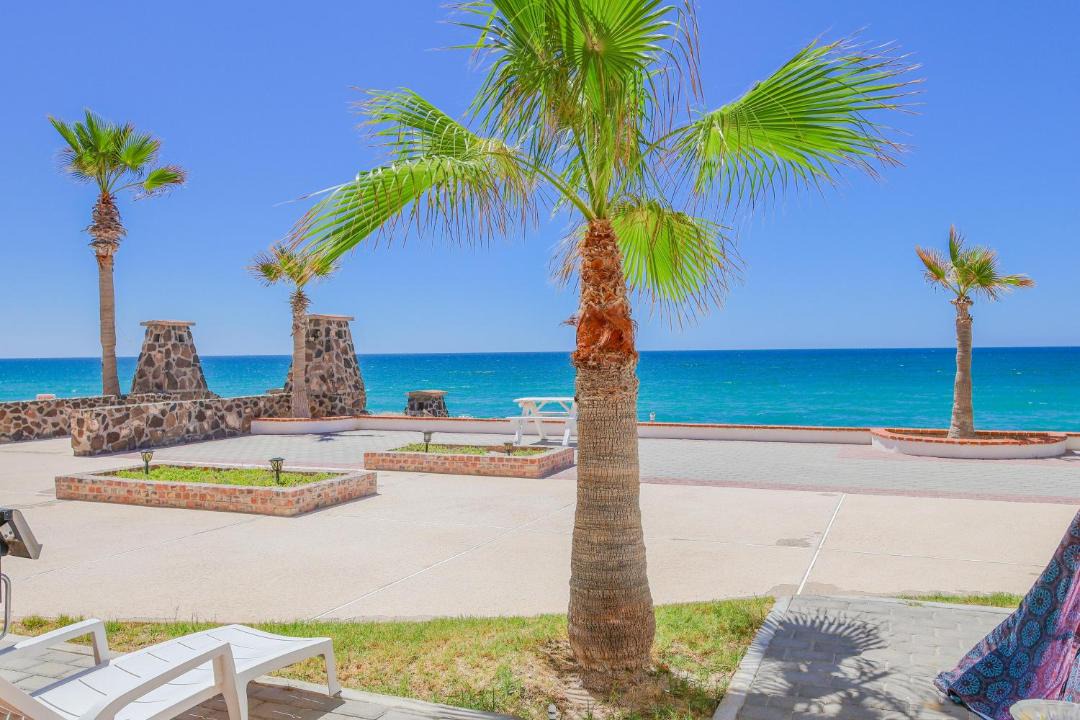 Photo of Others in Puerto Penasco