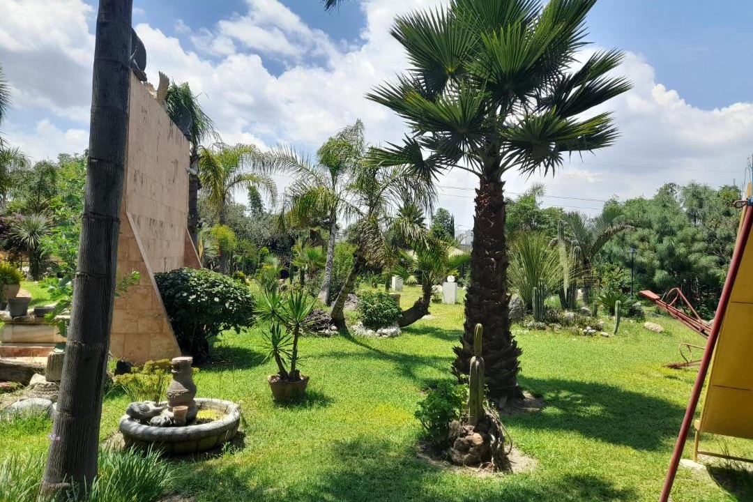 Photo of Others in Puebla