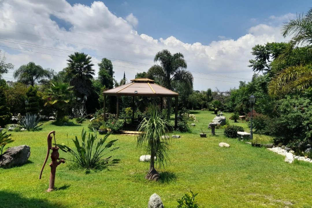 Photo of Others in Puebla