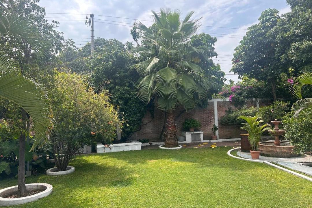 Photo of Others in Yautepec