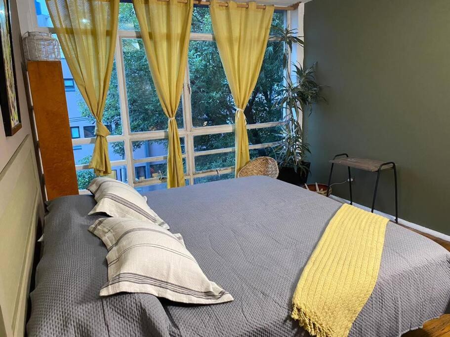 Photo of Bedroom in Escandon