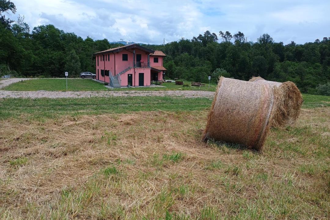 Photo of Others in Aulla