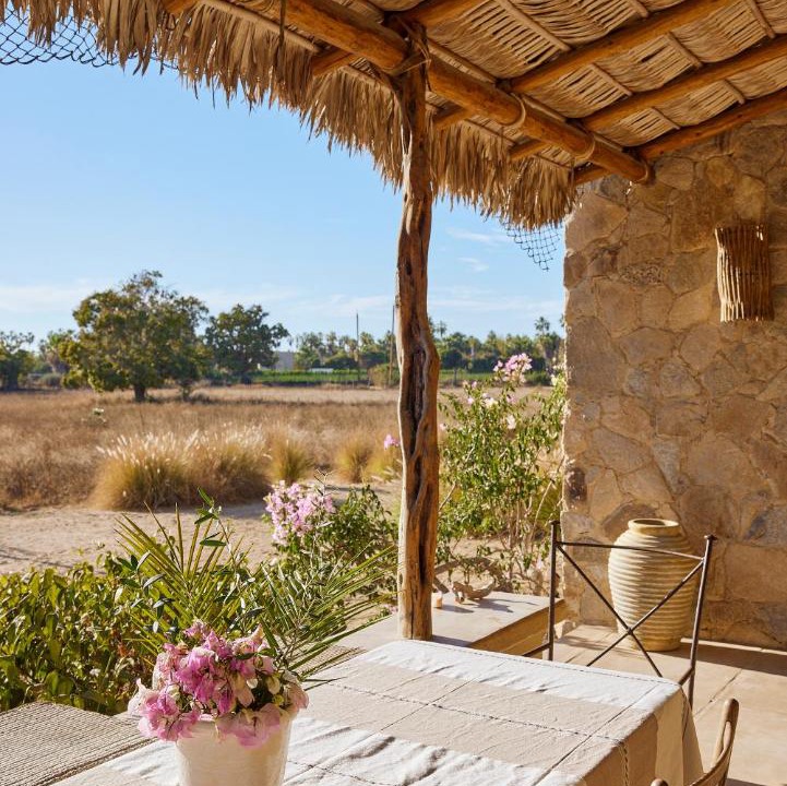 Photo of Others in Todos Santos