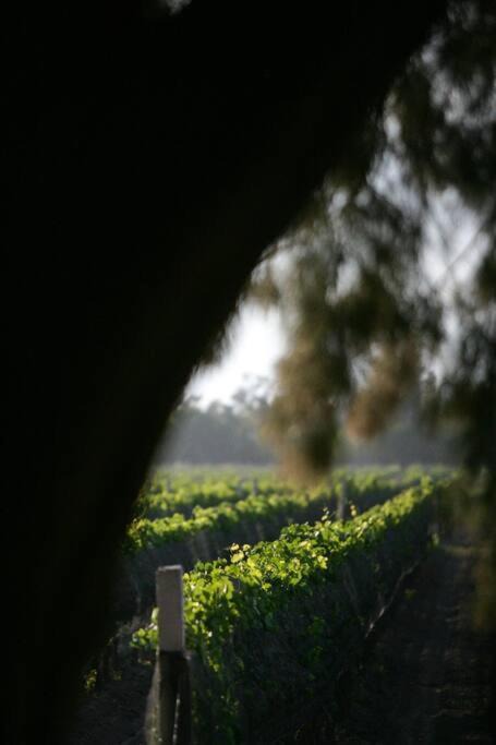 Photo of Others in Soledad de Graciano Sanchez