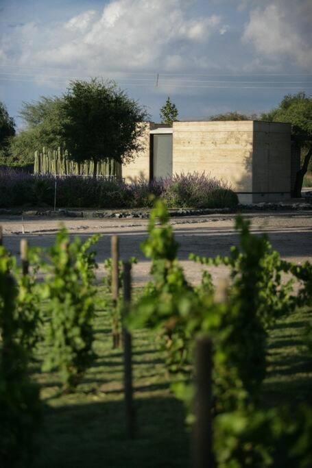 Photo of Outdoor in Soledad de Graciano Sanchez