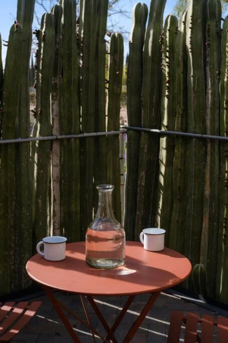 Photo of Patio Balcony in Soledad de Graciano Sanchez