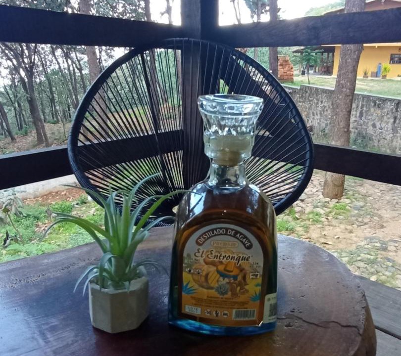 Photo of Others in Tequila