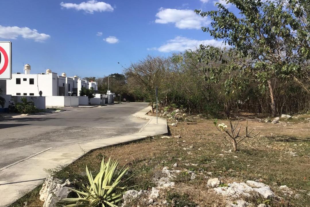 Photo of Others in Merida Municipality