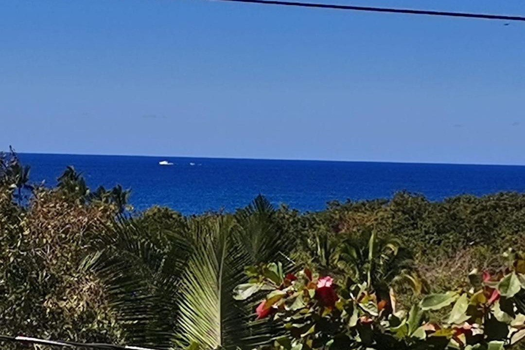 Photo of Others in Chacala