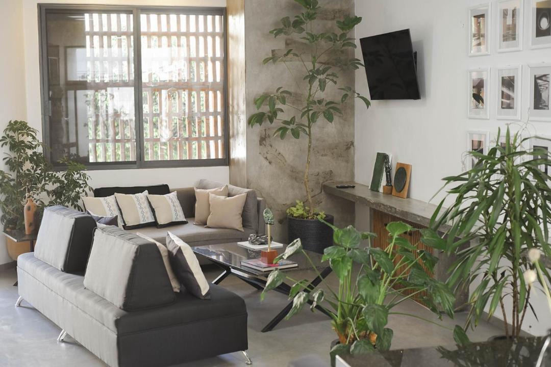 Photo of Livingroom in Zona Minerva