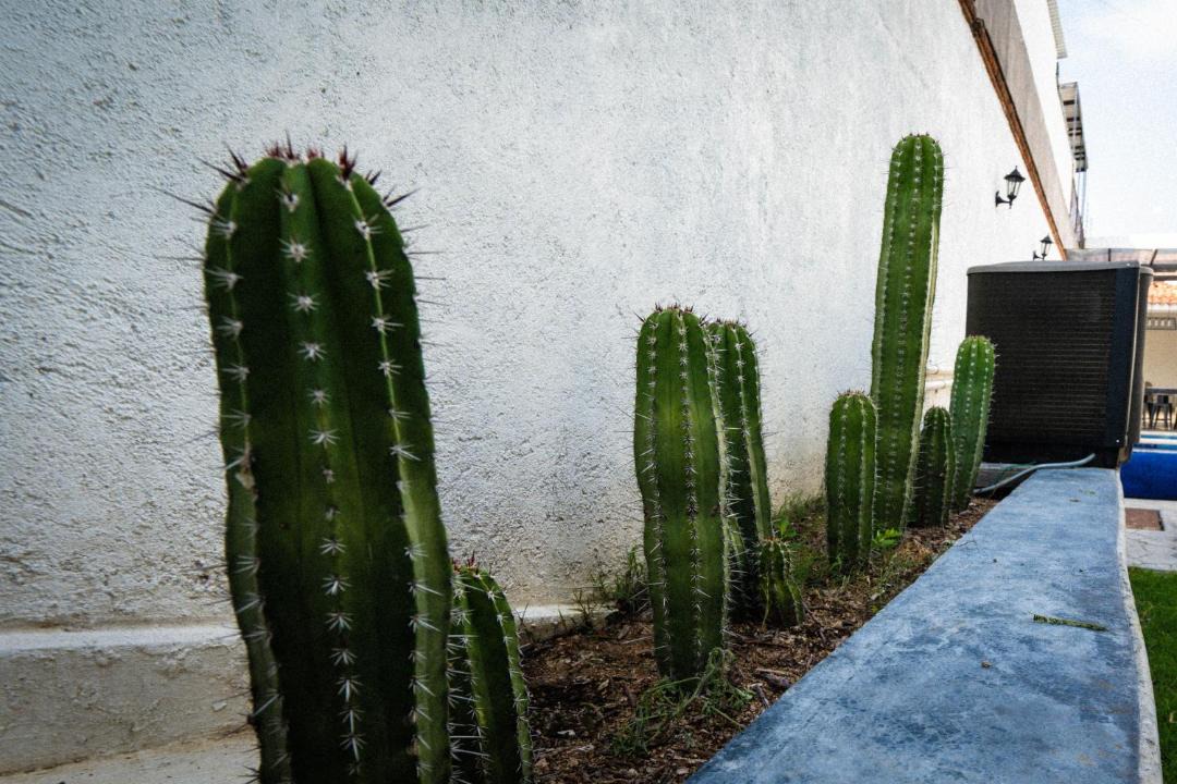 Photo of Others in Jiutepec