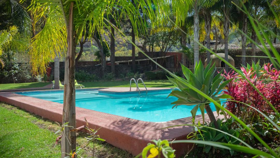 Photo of Others in Tepoztlan