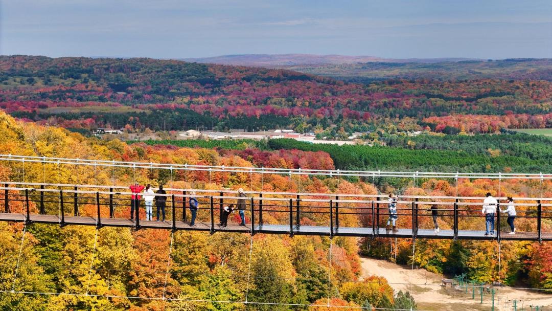 Photo of Others in Boyne Falls