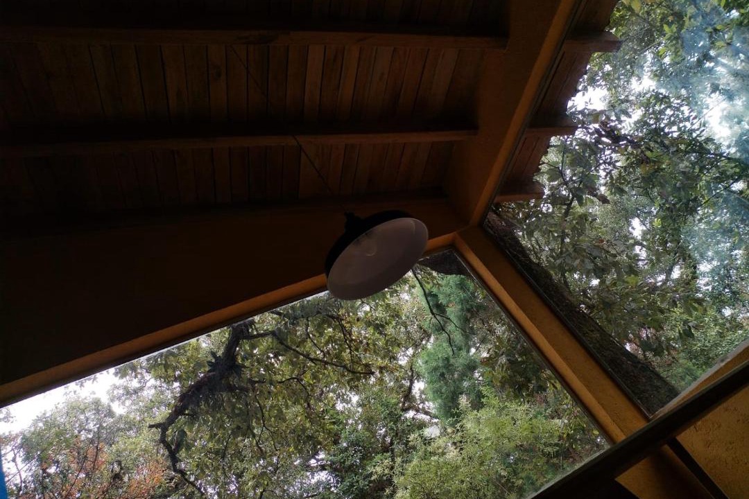 Photo of Others in Tepoztlan