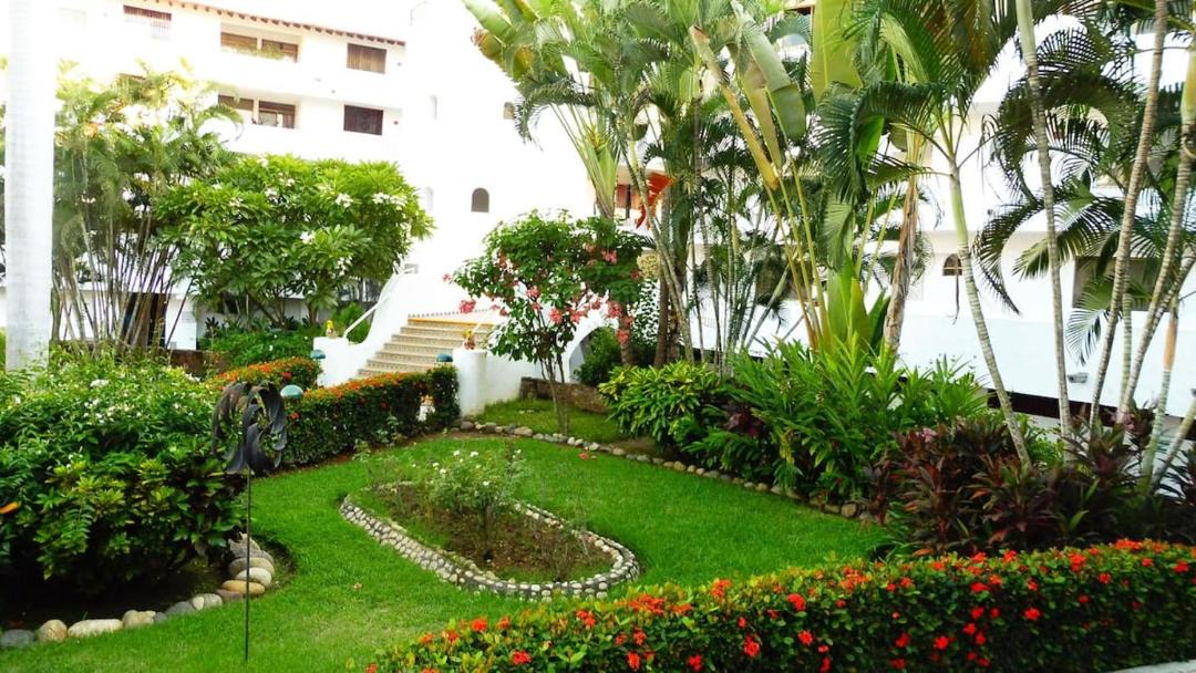 Photo of Buildings in Marina Vallarta