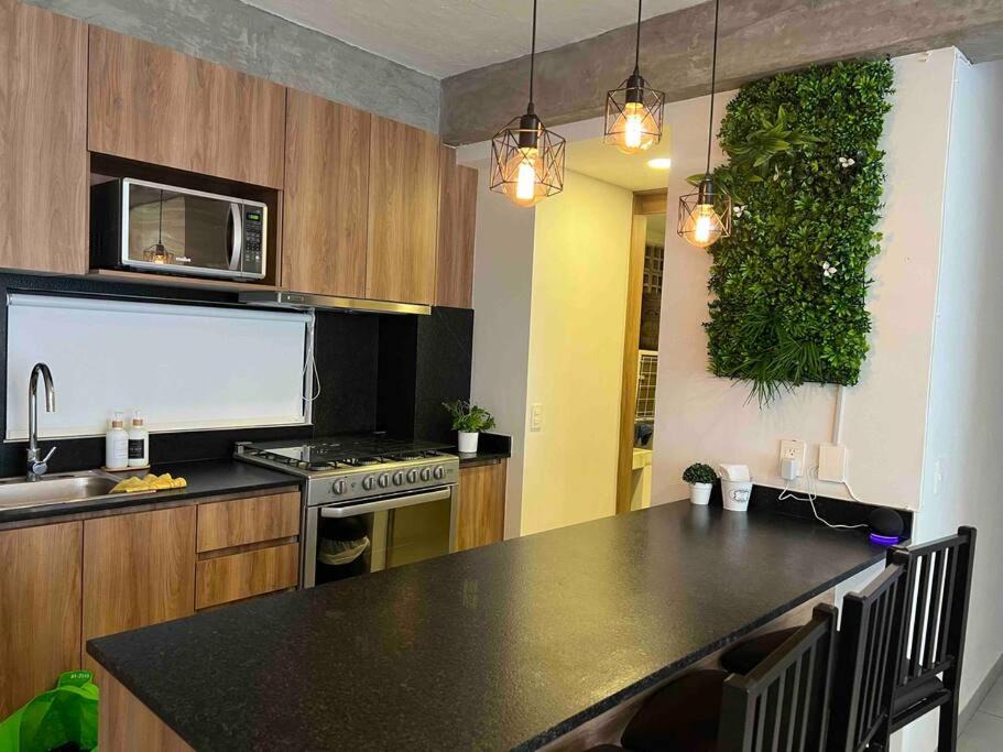 Photo of Kitchen in Guadalajara