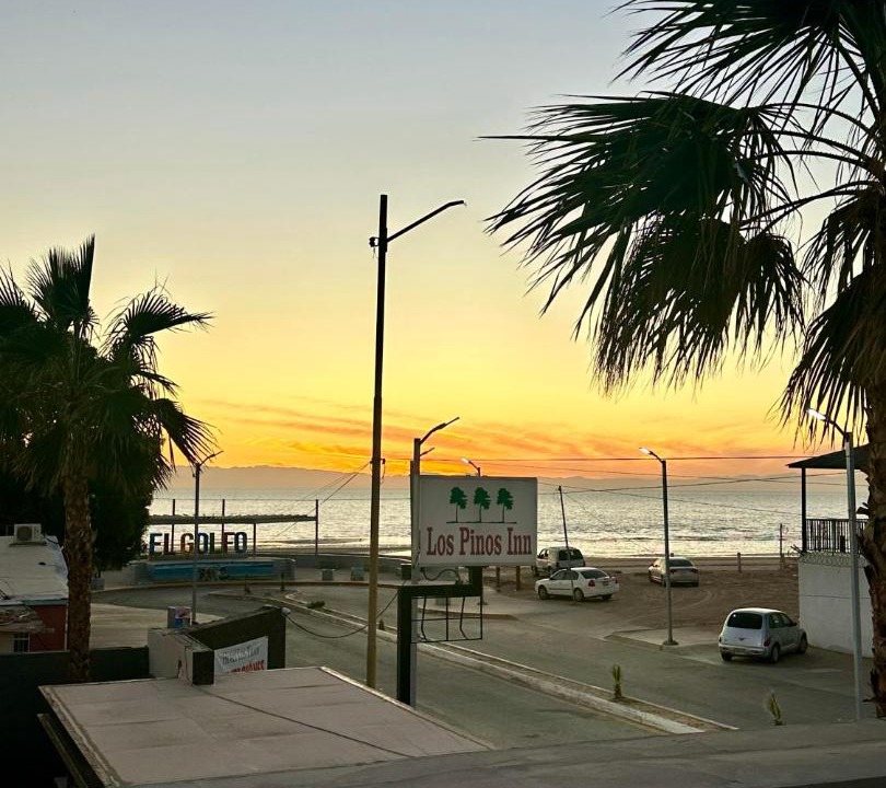 Photo of Others in Golfo de Santa Clara