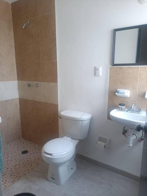 Photo of Bathroom in Soledad de Graciano Sanchez
