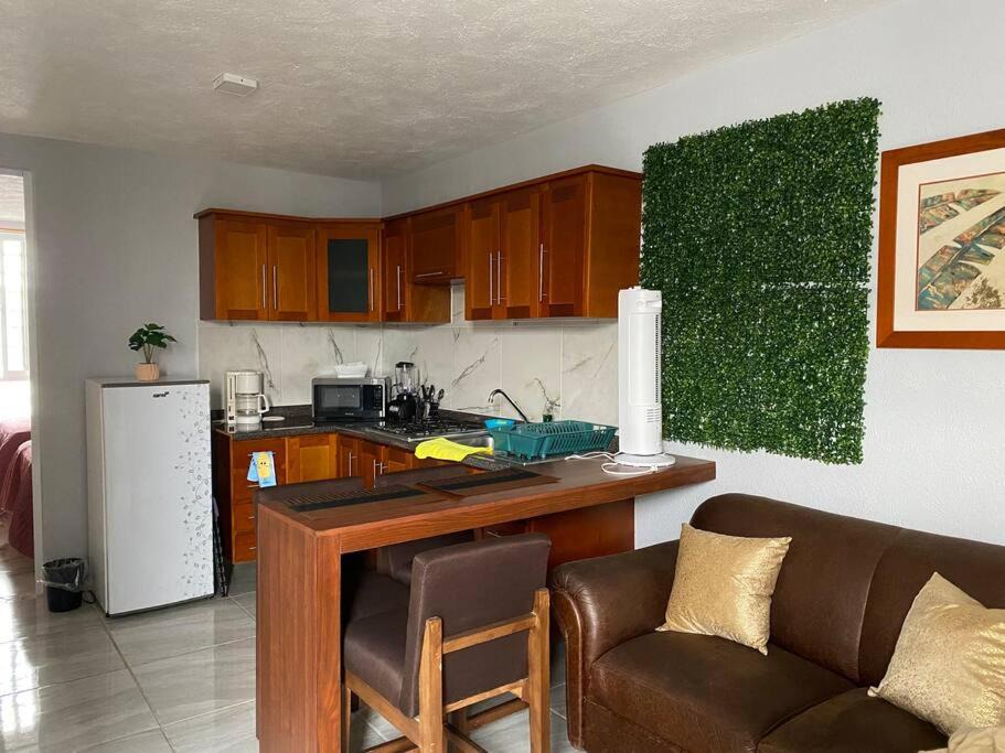 Photo of Livingroom in San Pedro Tlaquepaque