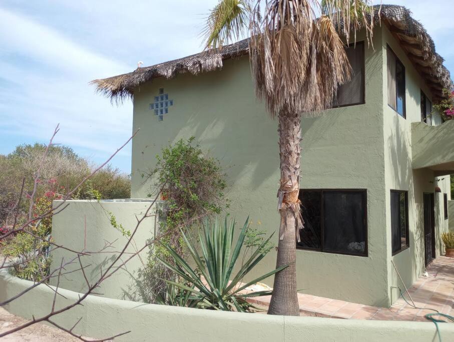Photo of Others in Cabo Pulmo