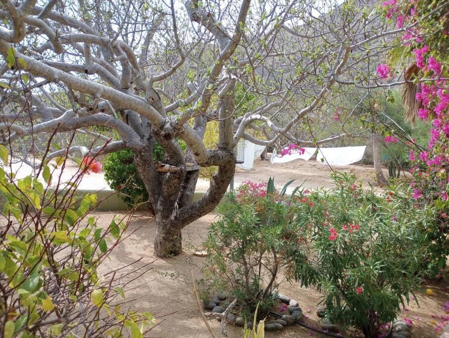 Photo of Others in Cabo Pulmo