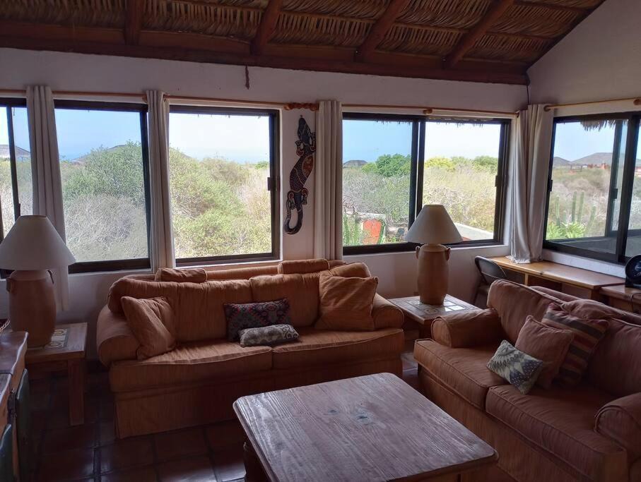 Photo of Others in Cabo Pulmo
