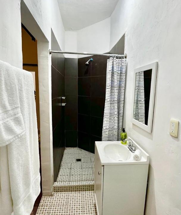 Photo of Bathroom in Monterrey Centro