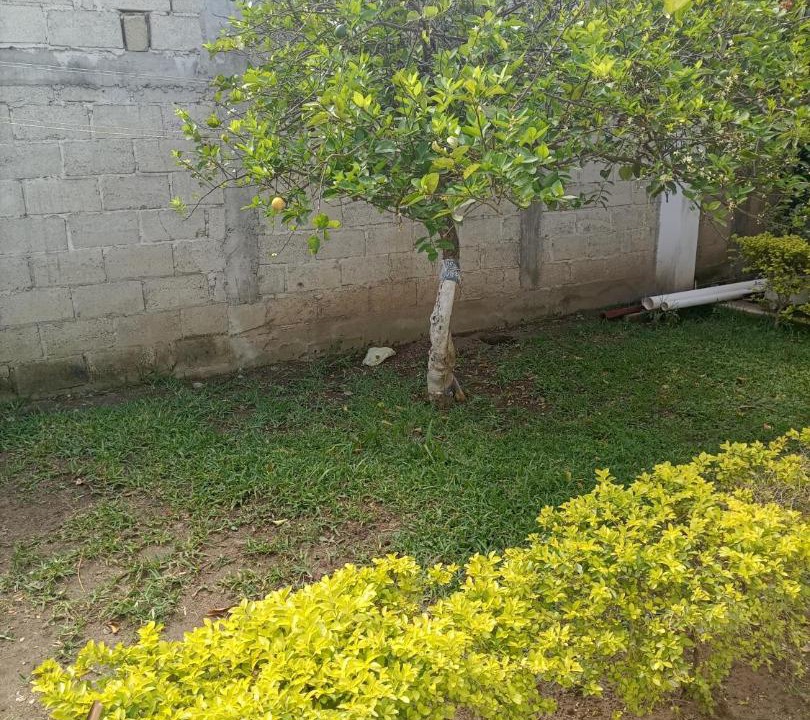 Photo of Others in Martinez de La Torre
