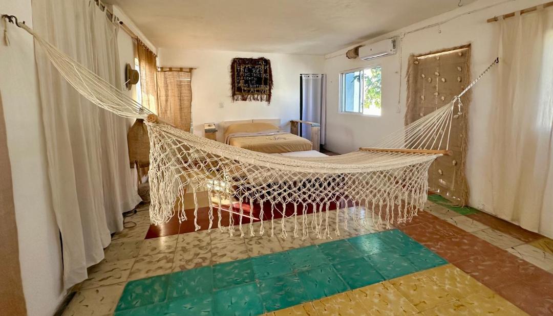 Photo of Others in Sisal