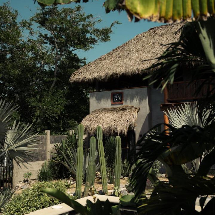 Photo of Others in Troncones
