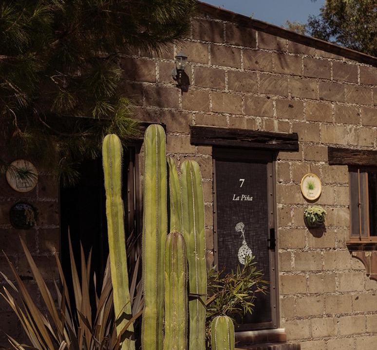 Photo of Others in Atotonilco