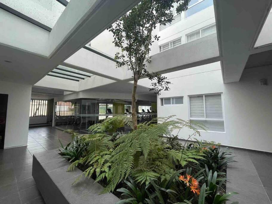 Photo of Buildings in Venustiano Carranza