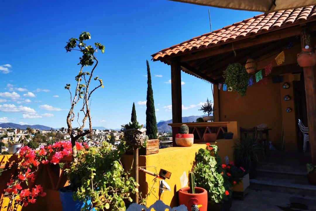 Photo of Others in Oaxaca