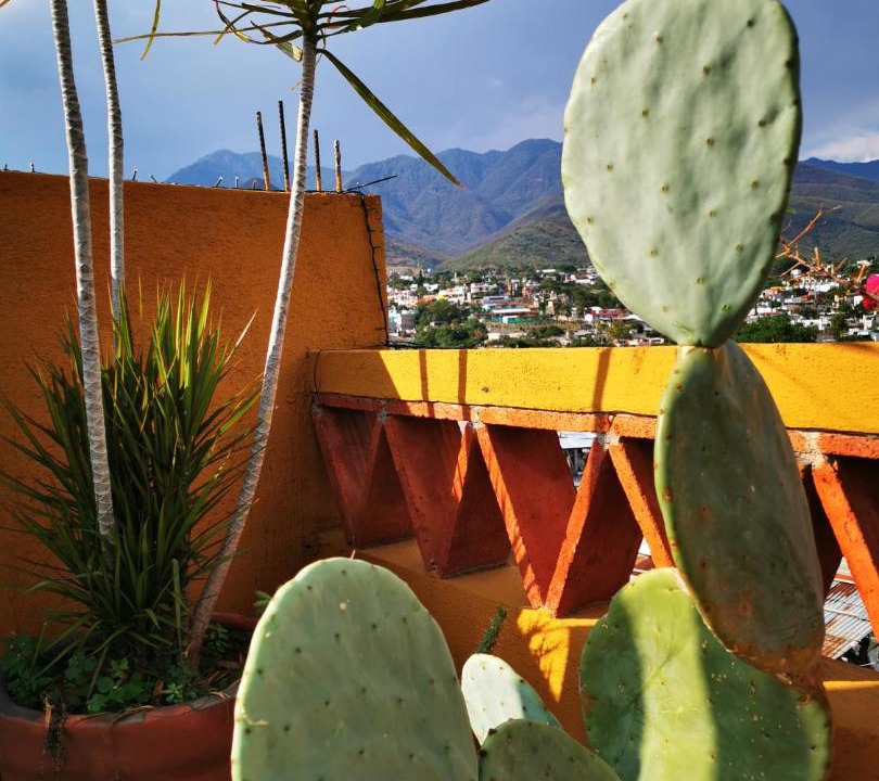 Photo of Others in Oaxaca