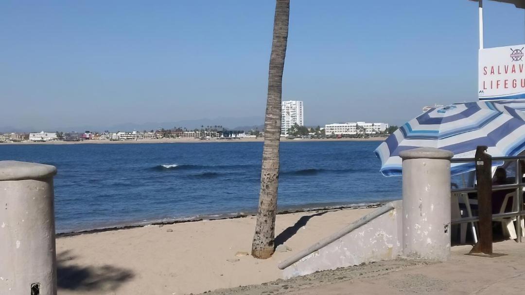 Photo of Others in Downtown Mazatlan